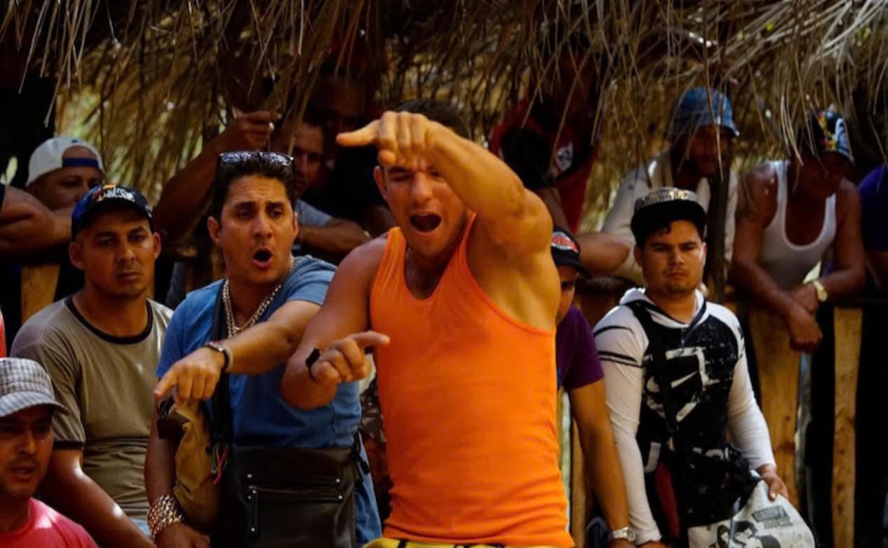 Giống Đá Gà Chọi Cuba 12bet là gì, một số đặc điểm nhận biết về giống gà này