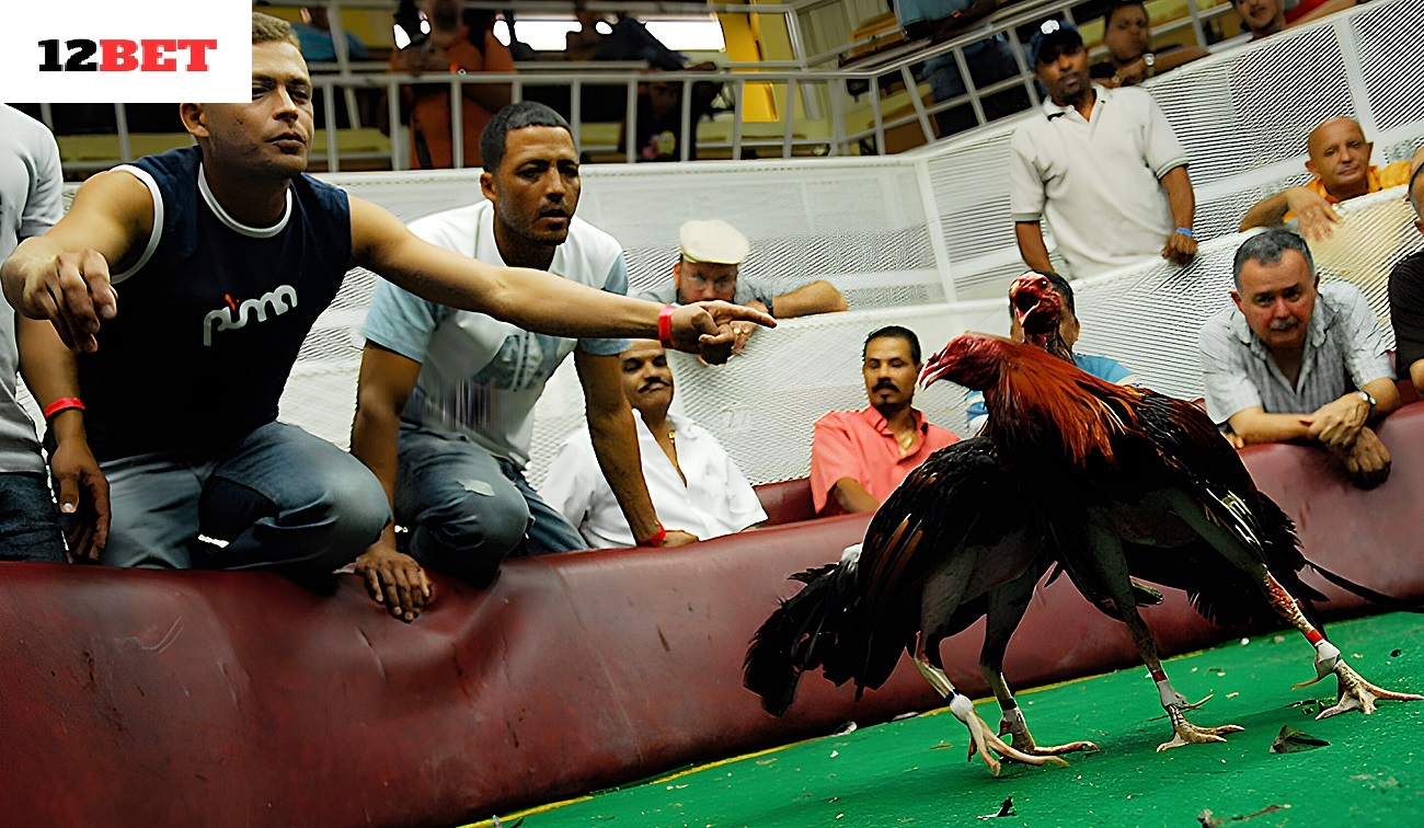 Nguồn gốc và lịch sử