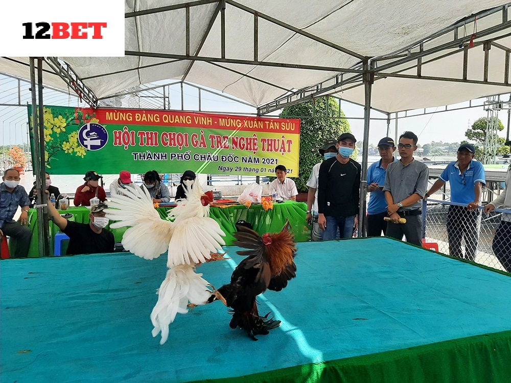 Giá trị kinh tế và văn hóa của Đá Gà Tre 12bet